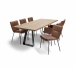navajo-eetkamerstoelen-landelijk-industrieel-eettafel-cross-over-eiken