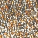 rocks-70513